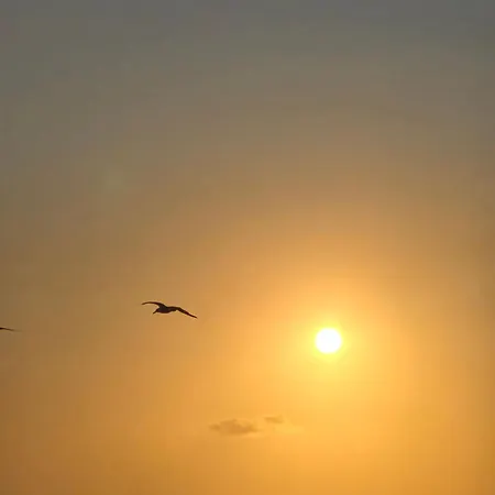 Directe A Moins De 100m Apartment