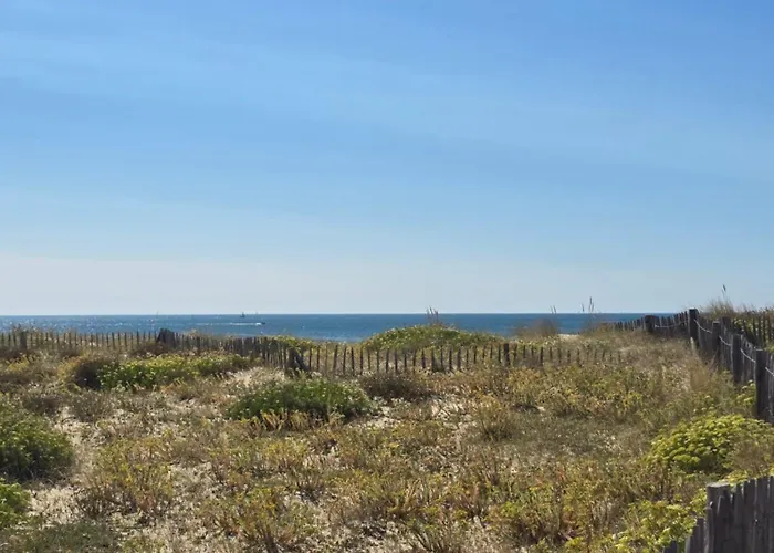 Directe A Moins De 100m * La Turballe