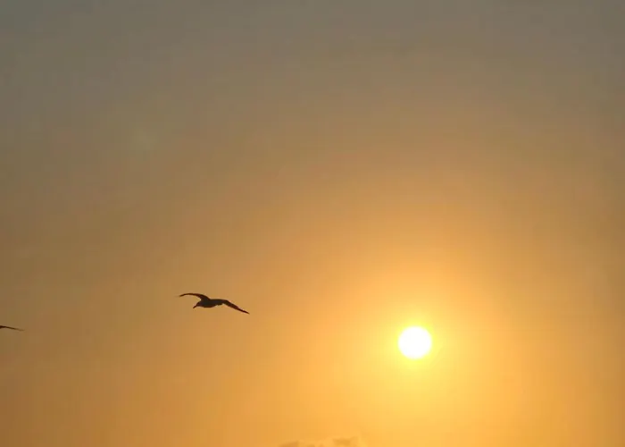 Directe à Moins De 100m Apartamento